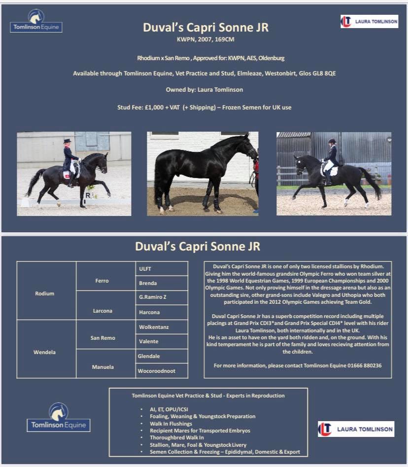 Duval’s Capri Sonne JR Available at Stud in UK