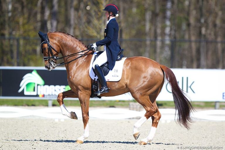 Superb Pictures of Finn in Belgium