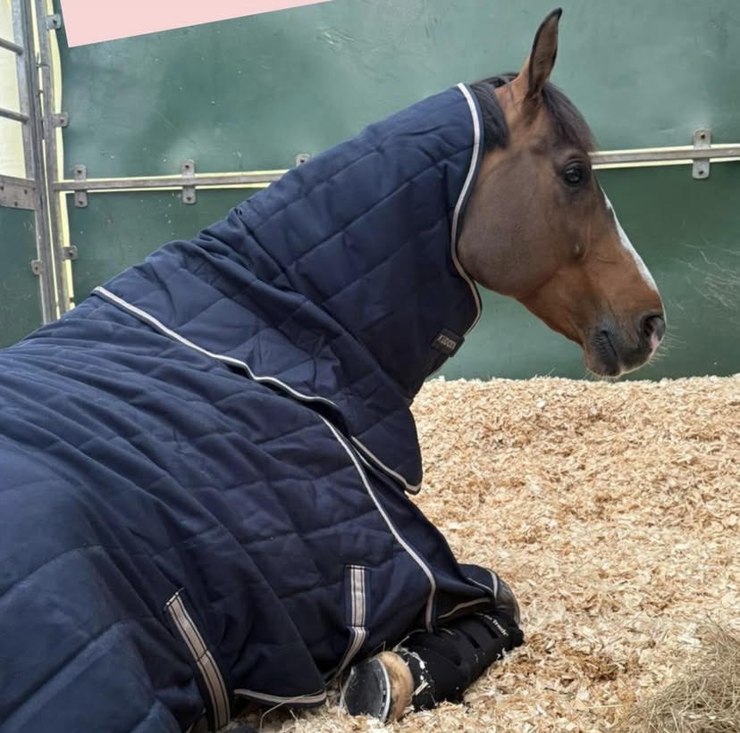 At Peelbergen with the boys