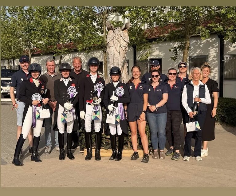 Forest is a Grand Prix Horse and Moony takes part in a Nations Cup